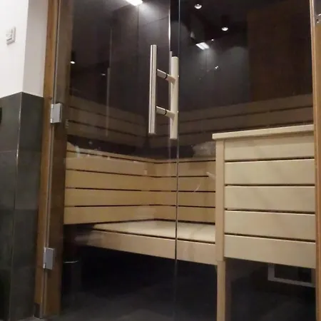 Alpium - Luxusappartements Apart-hotel Flachau